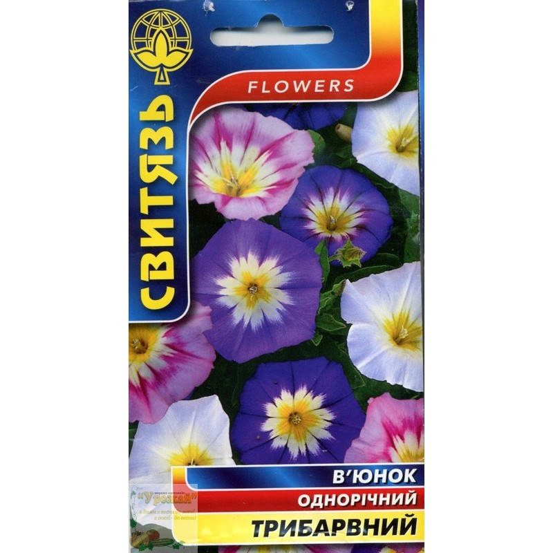 

Семена цветы Вьюнок трехцветный, 1 г