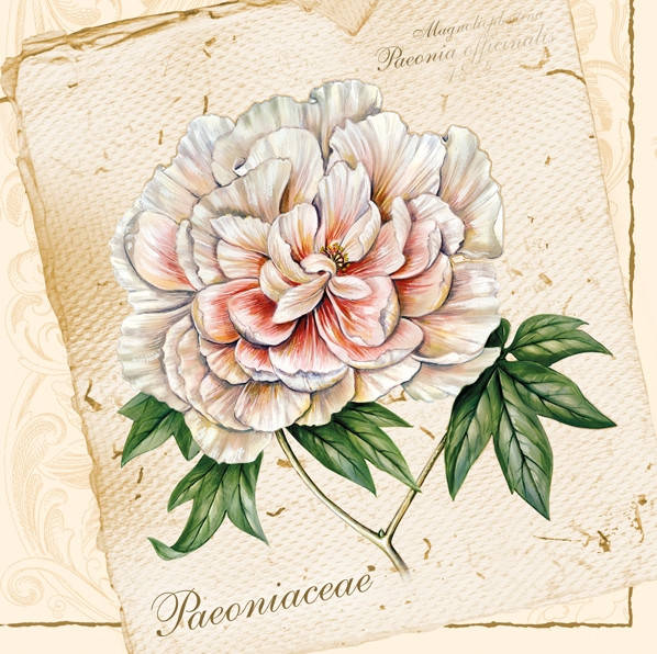 

Салфетки для декупажа "Paconiaceae" (Пион) 33*33 см №22