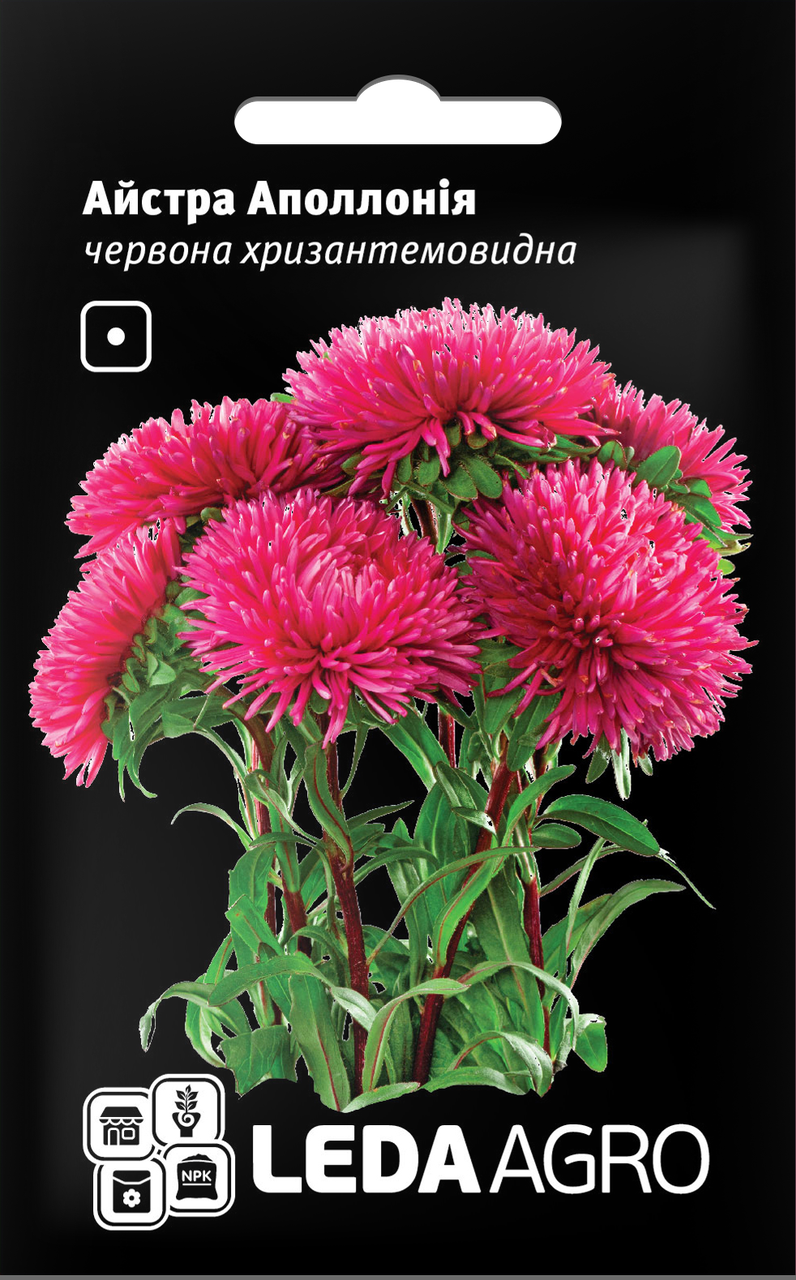 

Семена Астра Аполлония Красная 5г LEDAAGRO