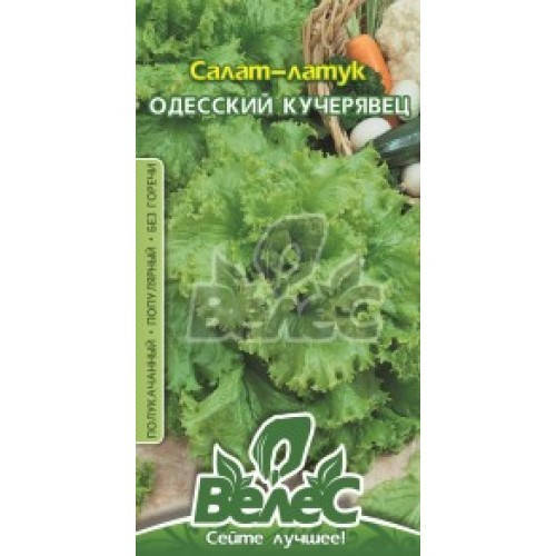 

Семена салата Одесский кучерявец 1г ТМ ВЕЛЕС
