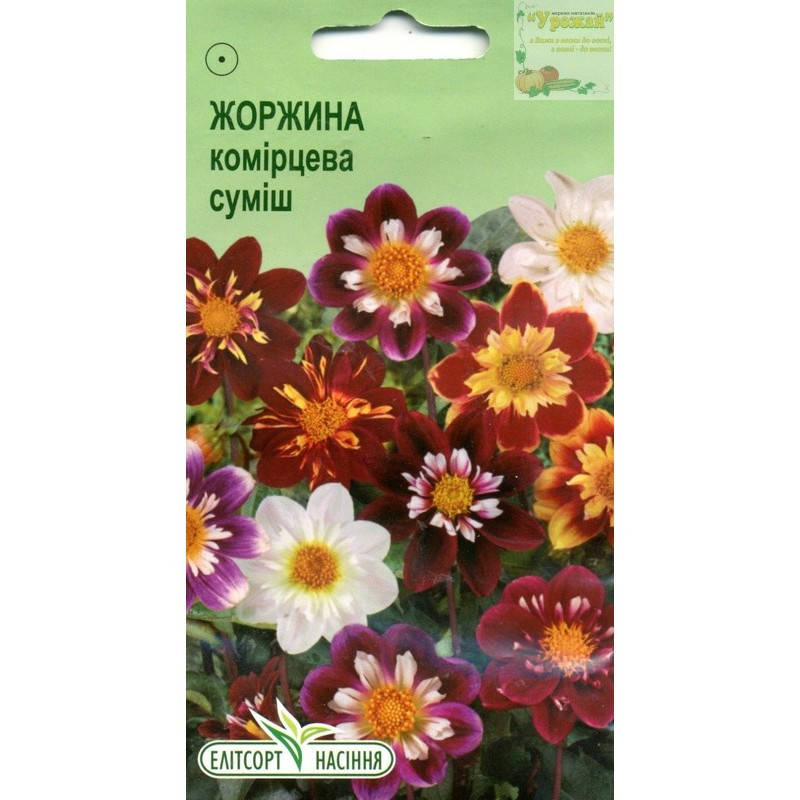 

Семена цветы Георгина Воротниковая смесь, 0,1