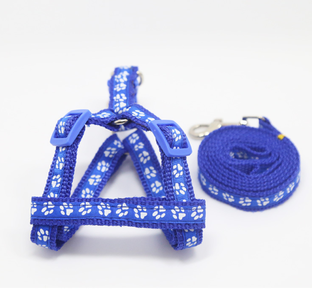 

Шлея синяя с поводком 1,5см/30-48см, Синий