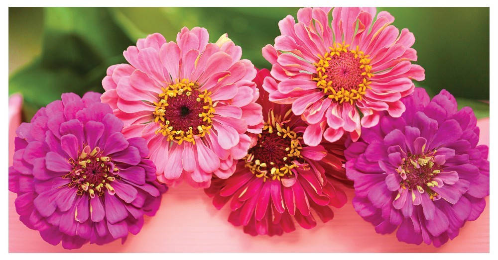 

Конверт для денег. Без надписи