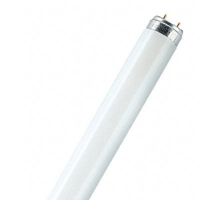 

Люминисцентная лампа T8 G13 18W/54-765 Philips