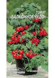 

Томат комнатный красный