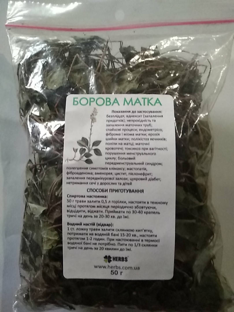 

Борова матка