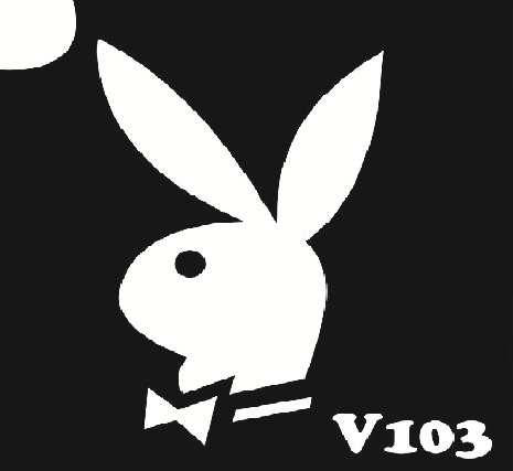 

Трафарет для биотату V103, 6*6 см03