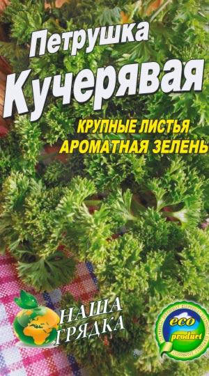 

Петрушка Кучерявая 3000 семян