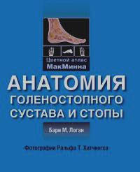 

Логан Анатомия голеностопного сустава