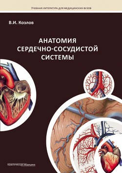 

Козлов В. И. Анатомия сердечно-сосудистой системы