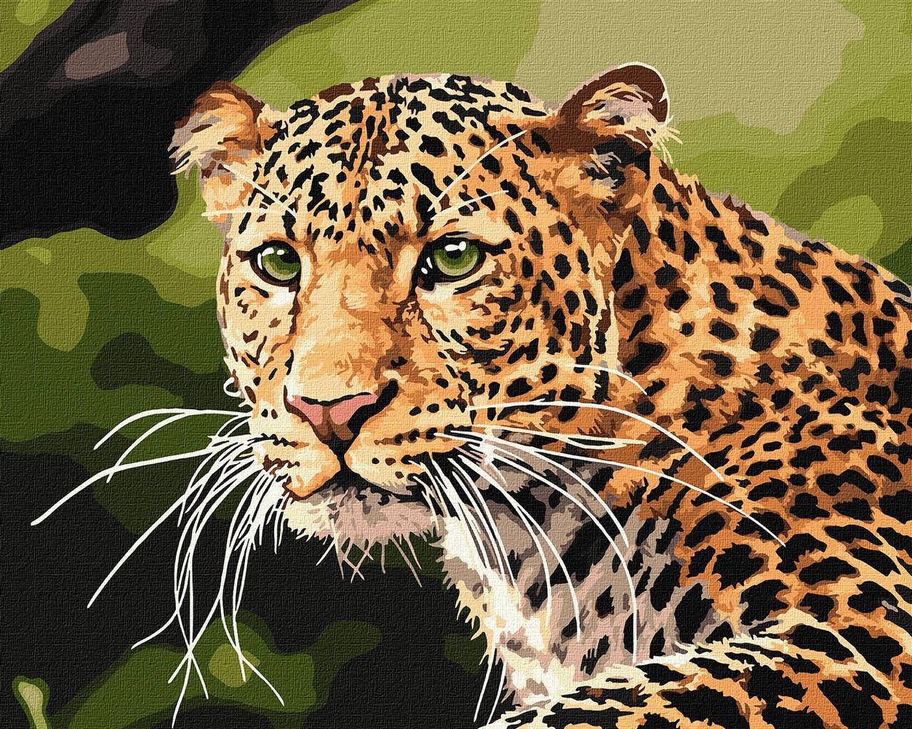 

Картина по номерам 40×50 см. Зеленоглазый леопард. Идейка. КНО4322