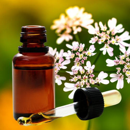 

Масло кориандра, пищевое, прямого холодного отжима (10 мл) (флакон с капельницей)