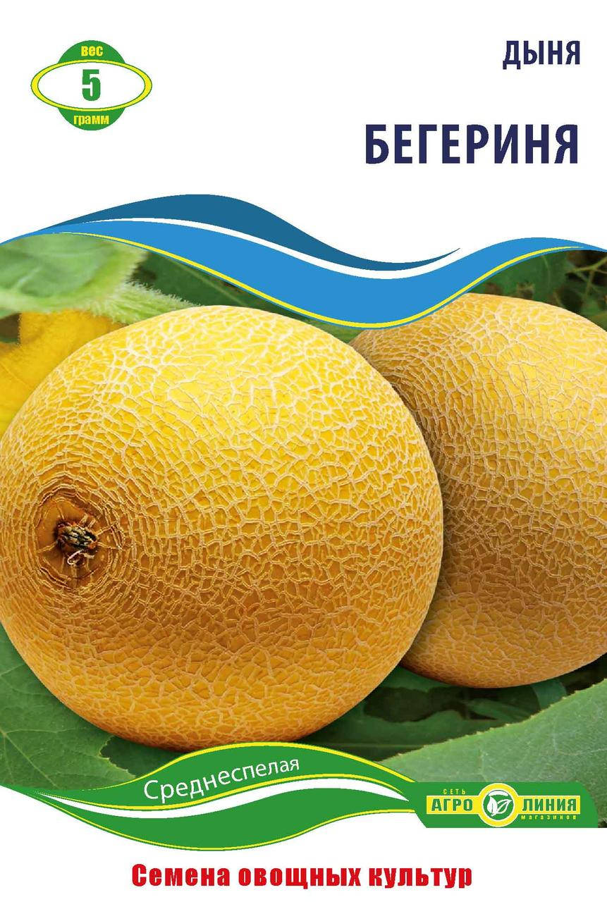 

Семена дыни Берегиня, Агролиния 5 г