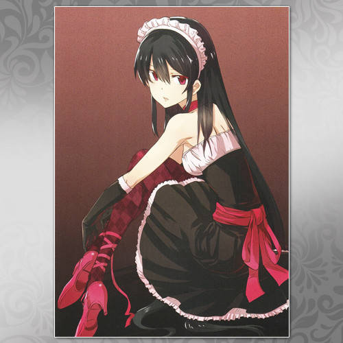

Плакат Аниме Akame ga Kill 05