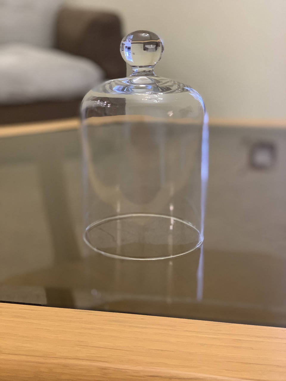 

Колпак стеклянный 200*120мм, Прозрачный