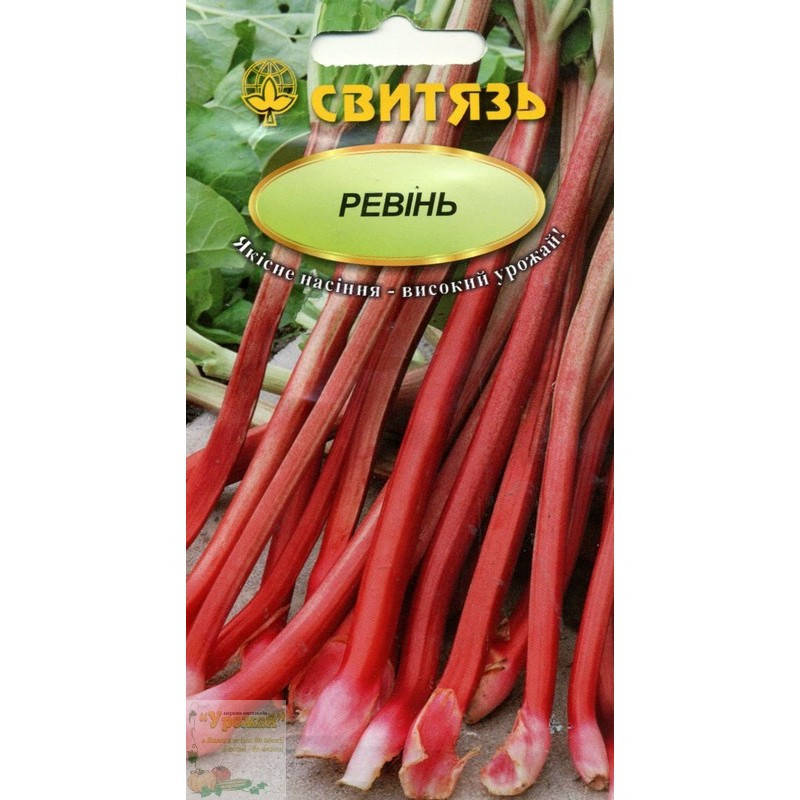 

Семена пряные Ревень, 0,5 г
