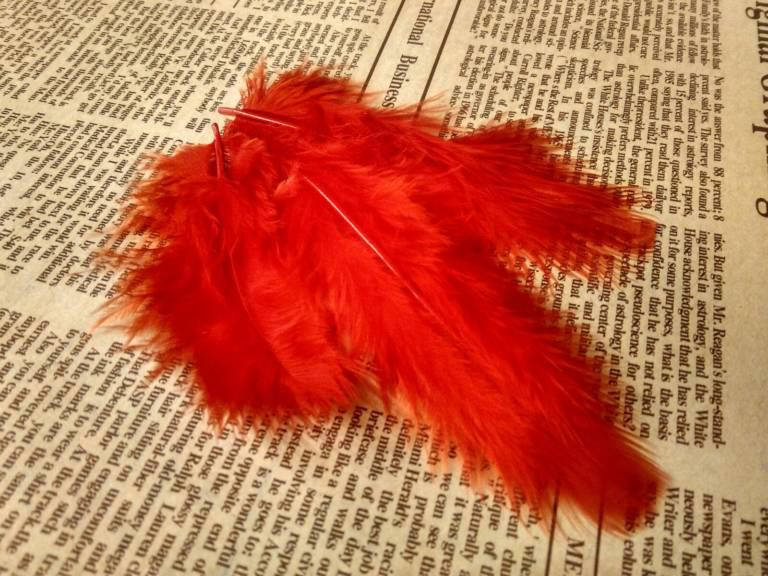 

Перо декоративное 5 штук. Цвет красный