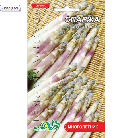 

Спаржа с мясистым корневищем, сортовые семена 0.5 г