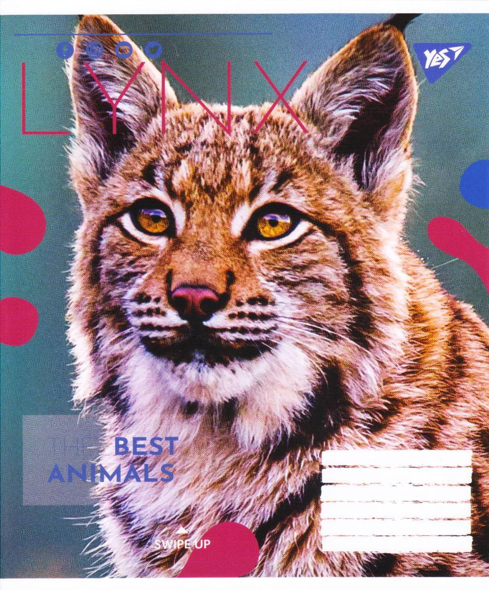 

Тетради 24 листа линия "Animal" 764996