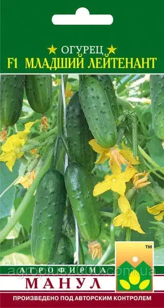 

Семена Огурец партенокарпический Младший лейтенант F1, 12 семян Манул
