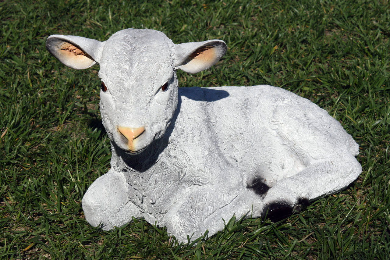 

Садовая фигура "Ягненок лежачий средний" 25см