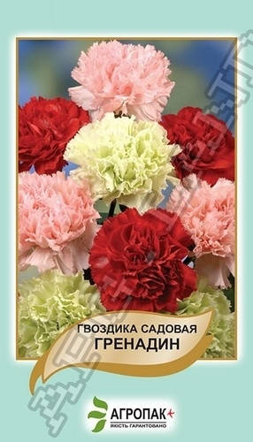 

Гвоздика садовая Гренадин, смесь - 0,2 грамма