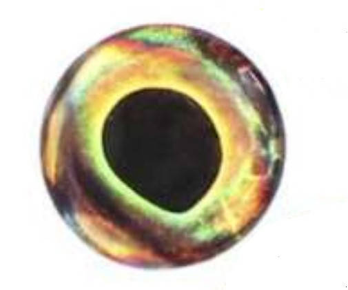 

Глазки 3-Д Реалистичные (4D real eyes/4D living eyes) (Wind) 6 мм