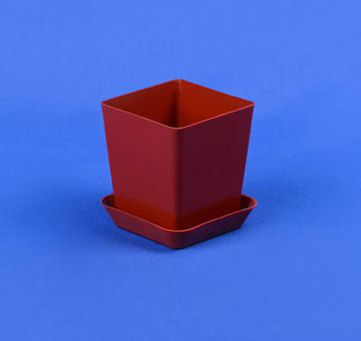 

Горшок для кактуса с подставкой 150мл (коричневый)