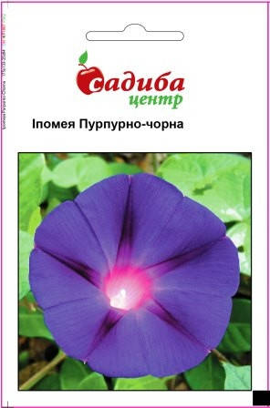 

Семена Ипомея Пурпурно-черная 0,5г Садыба Центр, Черный