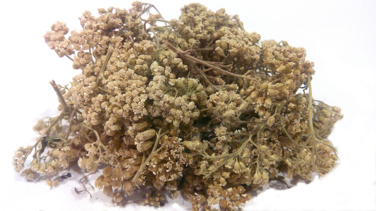 

Тысячелистник обыкновенный трава (деревий)