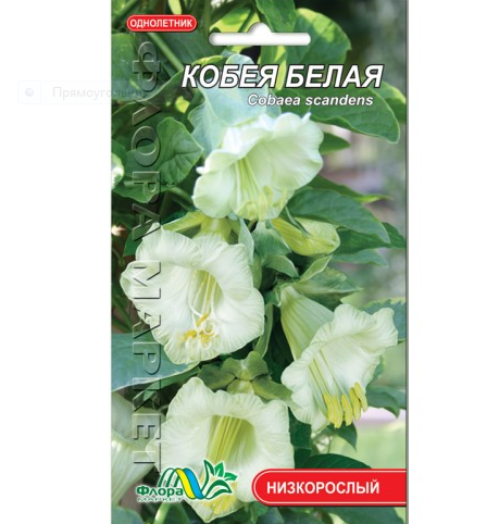 

Кобея Белая цветы вьющееся однолетние, семена 0.3 г, Белый