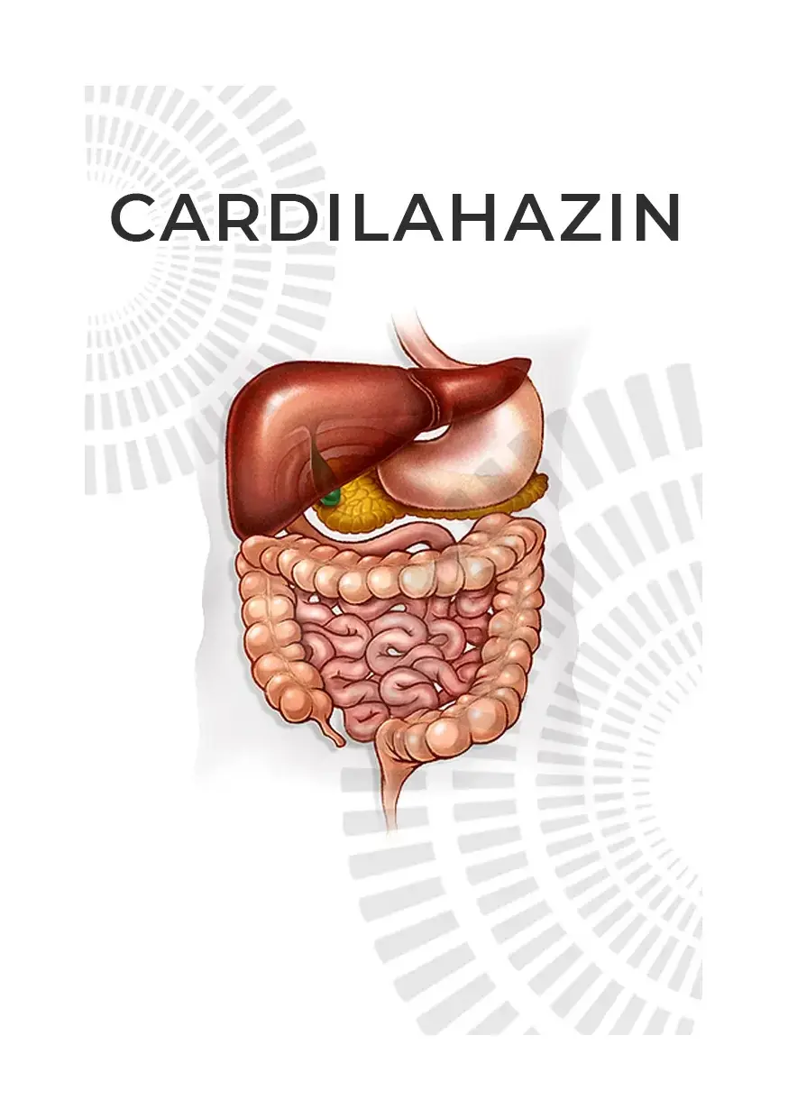 

Ахалазия кардии: Cardilahazin (Кардилахазин) капсулы