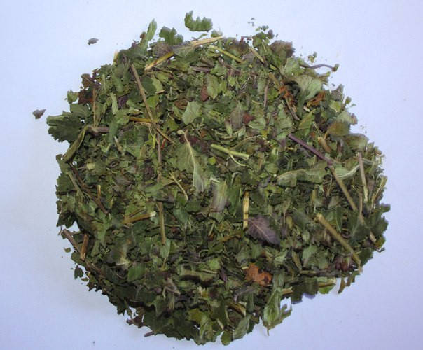 

Меліса Лікарська (Мелисса лекарственная)