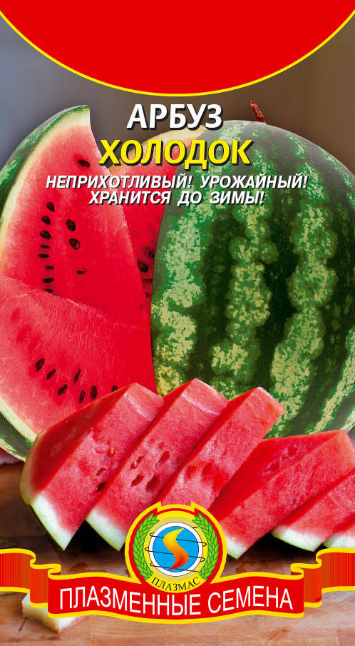 

Арбуз Холодок 1 г (Плазменные семена)