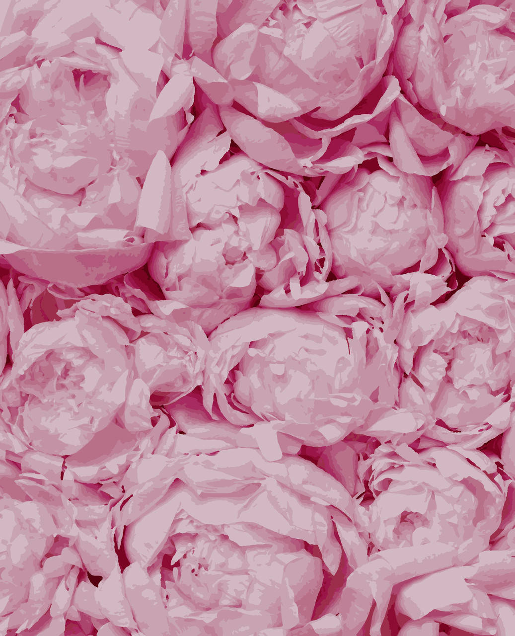 

Картина по номерам Нежность Artissimo 40*50 PN5103