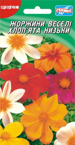 

Георгины Веселые ребята смесь низкие 20 шт.