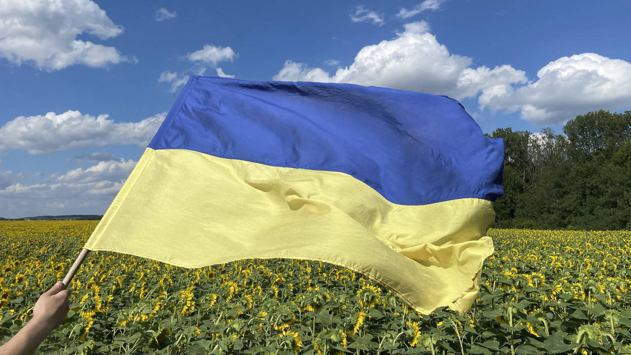 

Флаг Украины 135х90