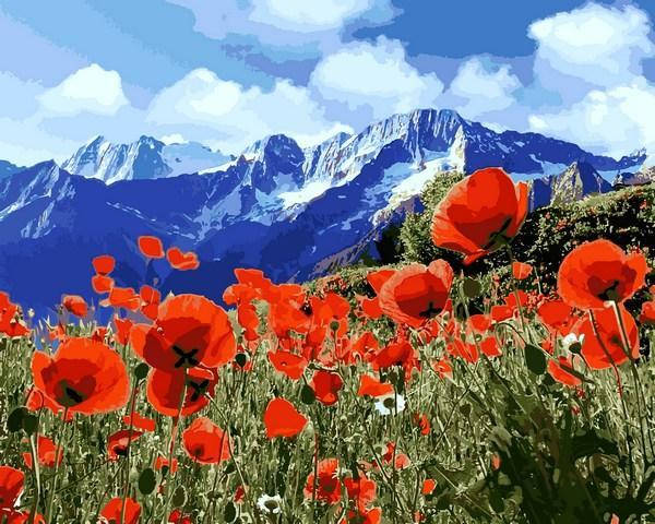 

Картины по номерам 40×50 см. Поле маков (Q-2224)