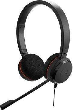 

Специализированная гарнитура Jabra Evolve 20 Duo 4999-829-209