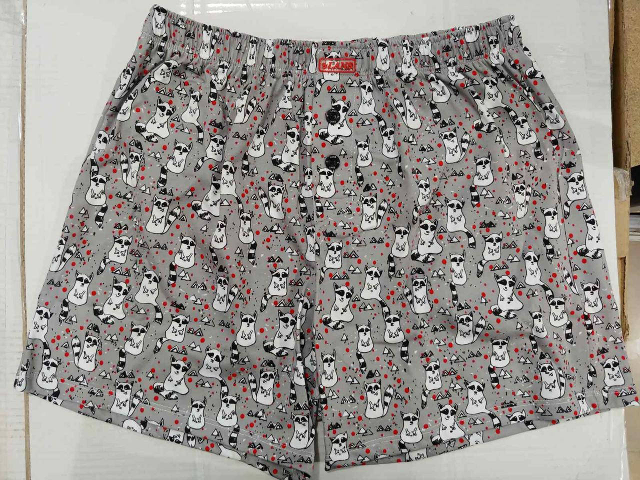 

Трусы мужские семейные Lans L 01/040 Еноты, 3XL