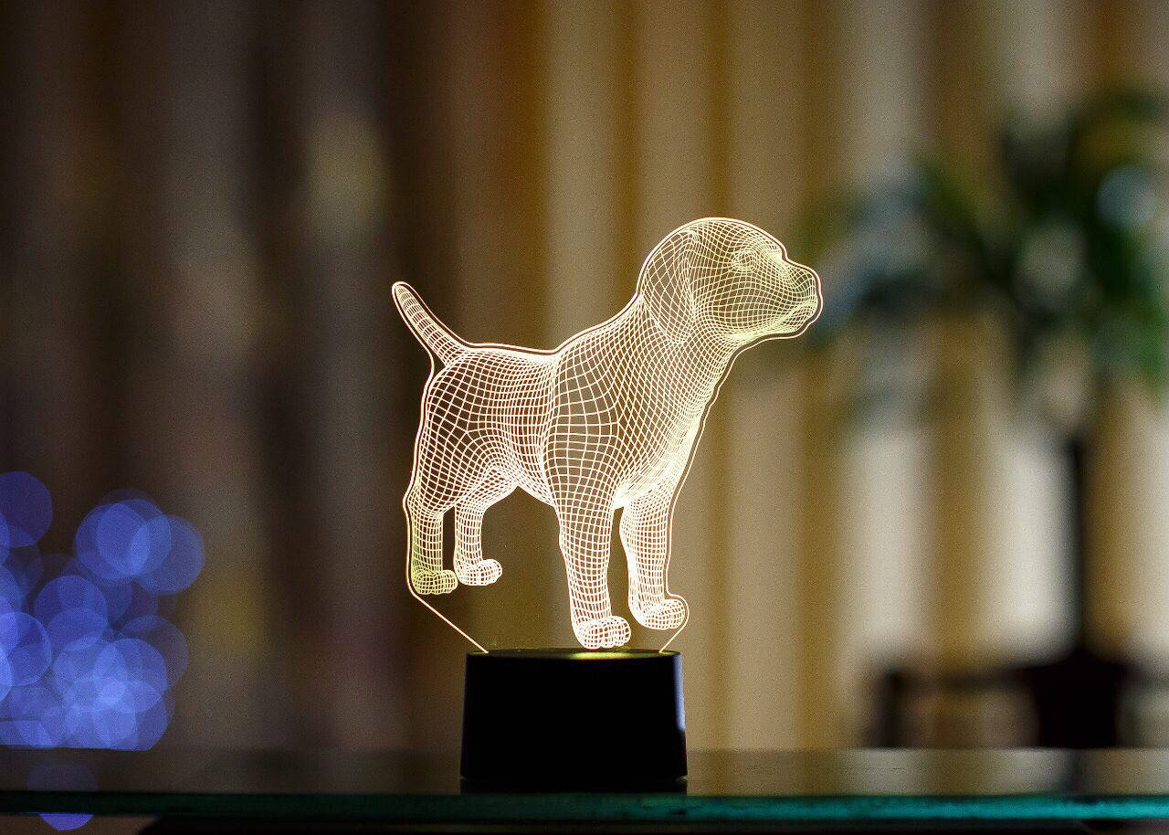 

Сменная пластина для 3D светильников "Лабрадор" 3DTOYSLAMP