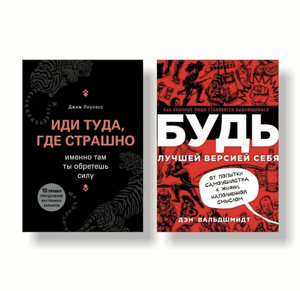 

Набор Иди туда где страшно - Джим Лоулесс Будь лучшей версией себя - Вальдшмидт Дэн(мягкий переплёт)