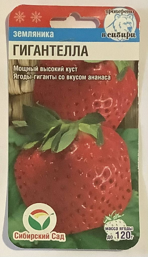 

Насіння Полуниця Гігантелла 10 шт Сибірський Сад