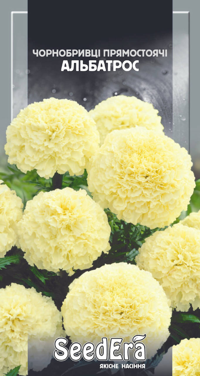 

Чорнобривці низькорослі Альбатрос 0,1г (SeedEra) (шт.)