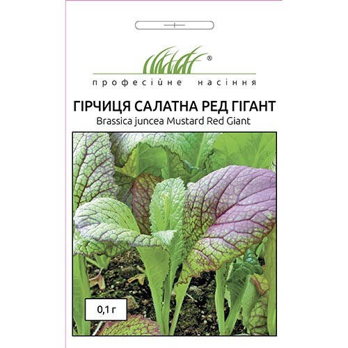 

Гірчиця салатна Ред Гігант 0,1 грамм (проф. семена)