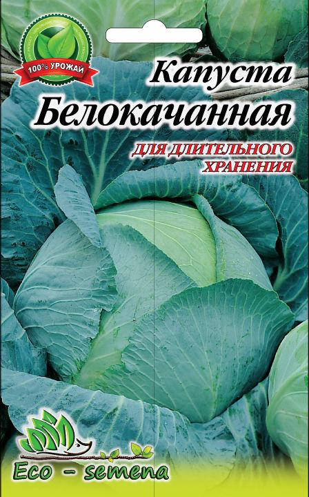 

Семена капуста Белокачанная для квашения, 3 г