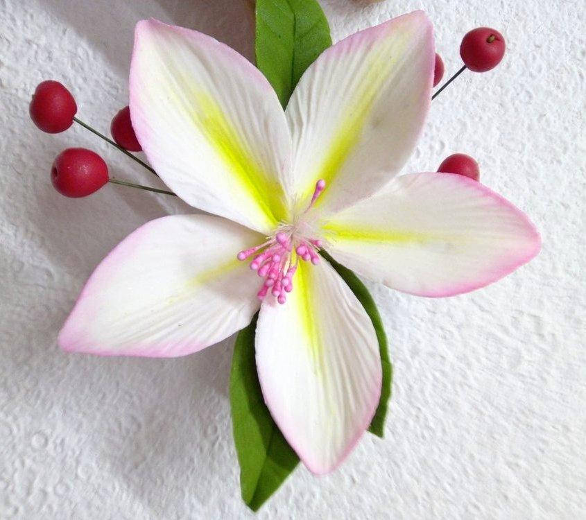 

Цукрова прикраса для кондитерських виробів Атрагена з ягідками