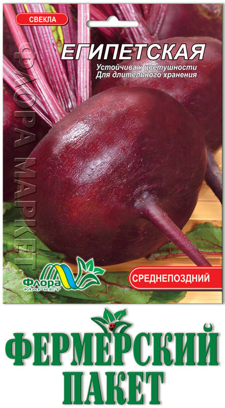 

Свекла Египетская плоская (большой пакет)