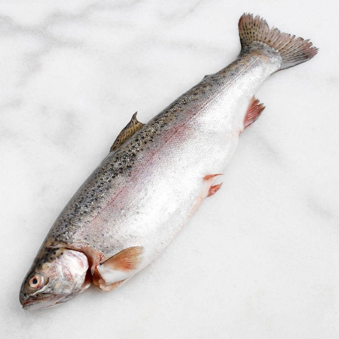 

Тушка форели с головой охлажденная 5-6 кг