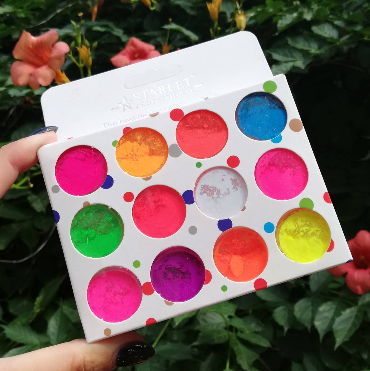 

Набор пигментов (12 баночек)